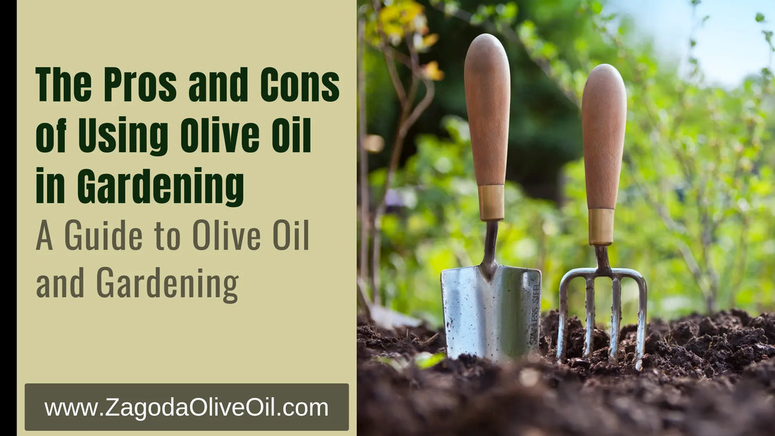 Is Olive Oil Good for Plants? A Comprehensive Guide A Guide to Olive Oil and Gardening