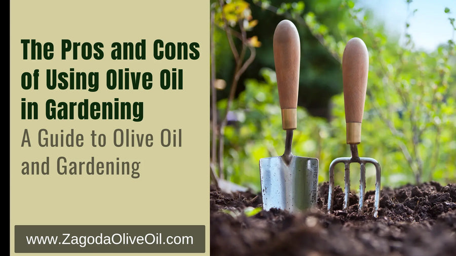 Is Olive Oil Good for Plants? A Comprehensive Guide A Guide to Olive Oil and Gardening
