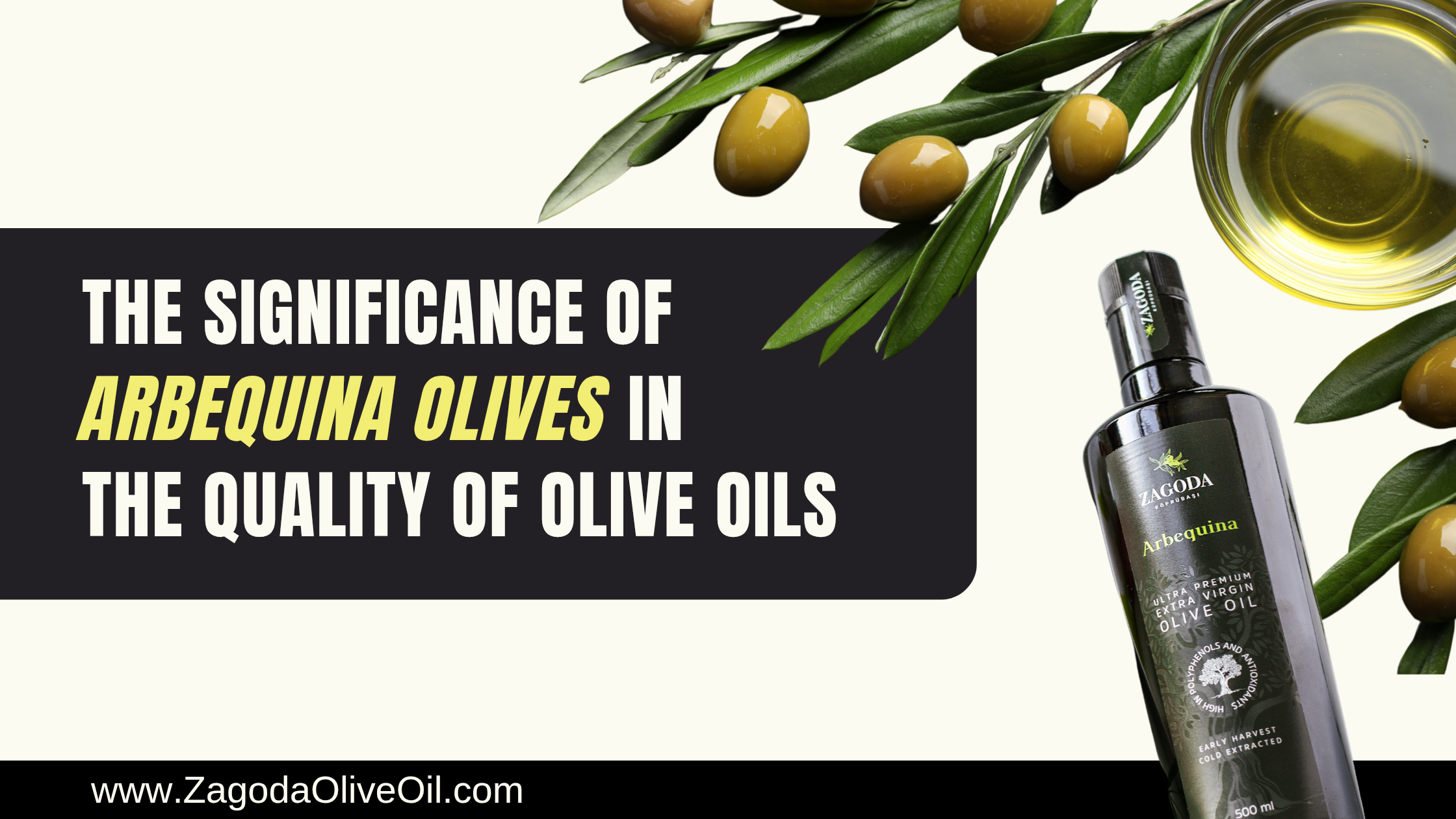 High polyphenols in Arbequina extra virgin olive oil – health benefits