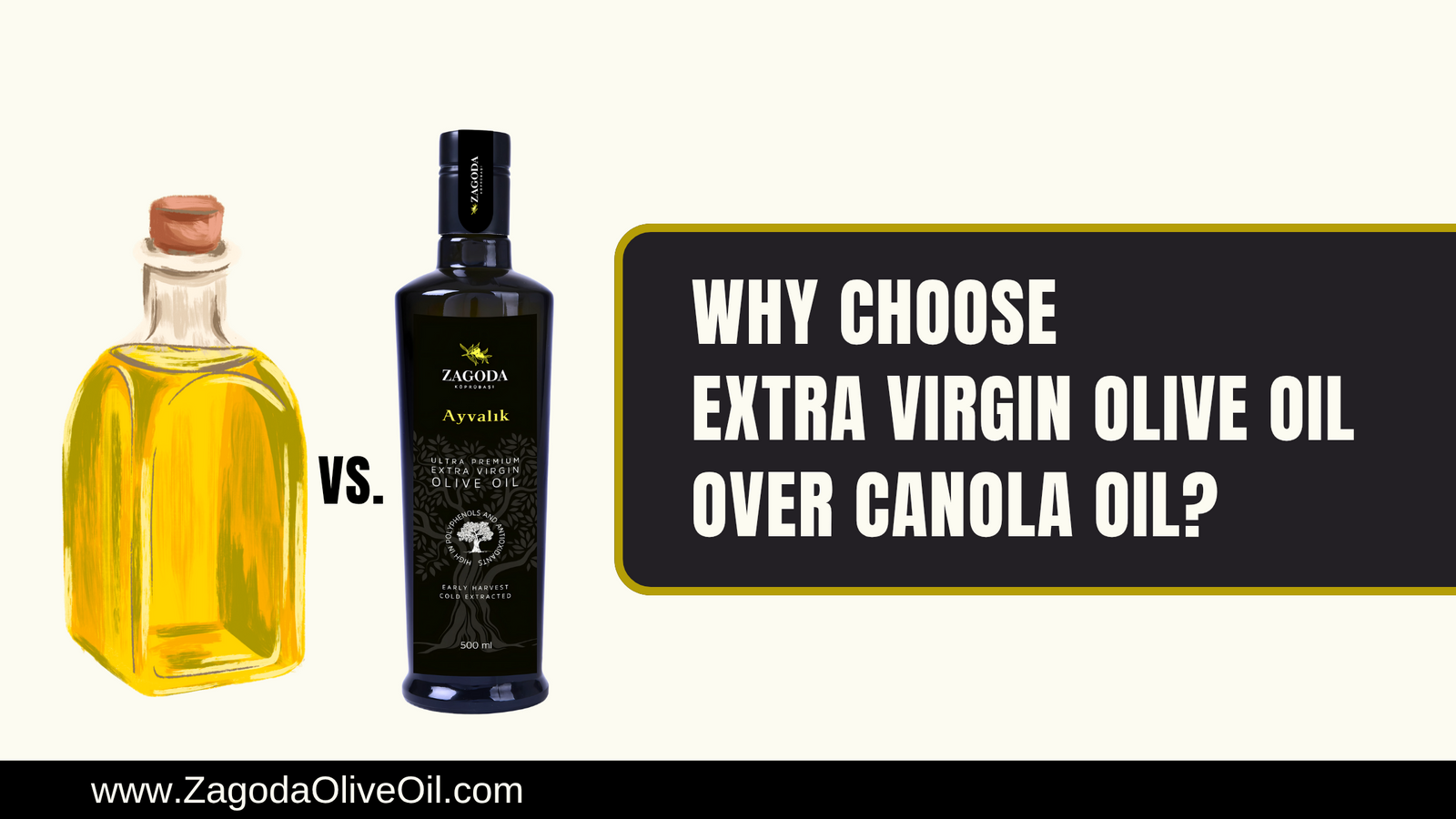 Canola oil vs olive oil – which is healthier?