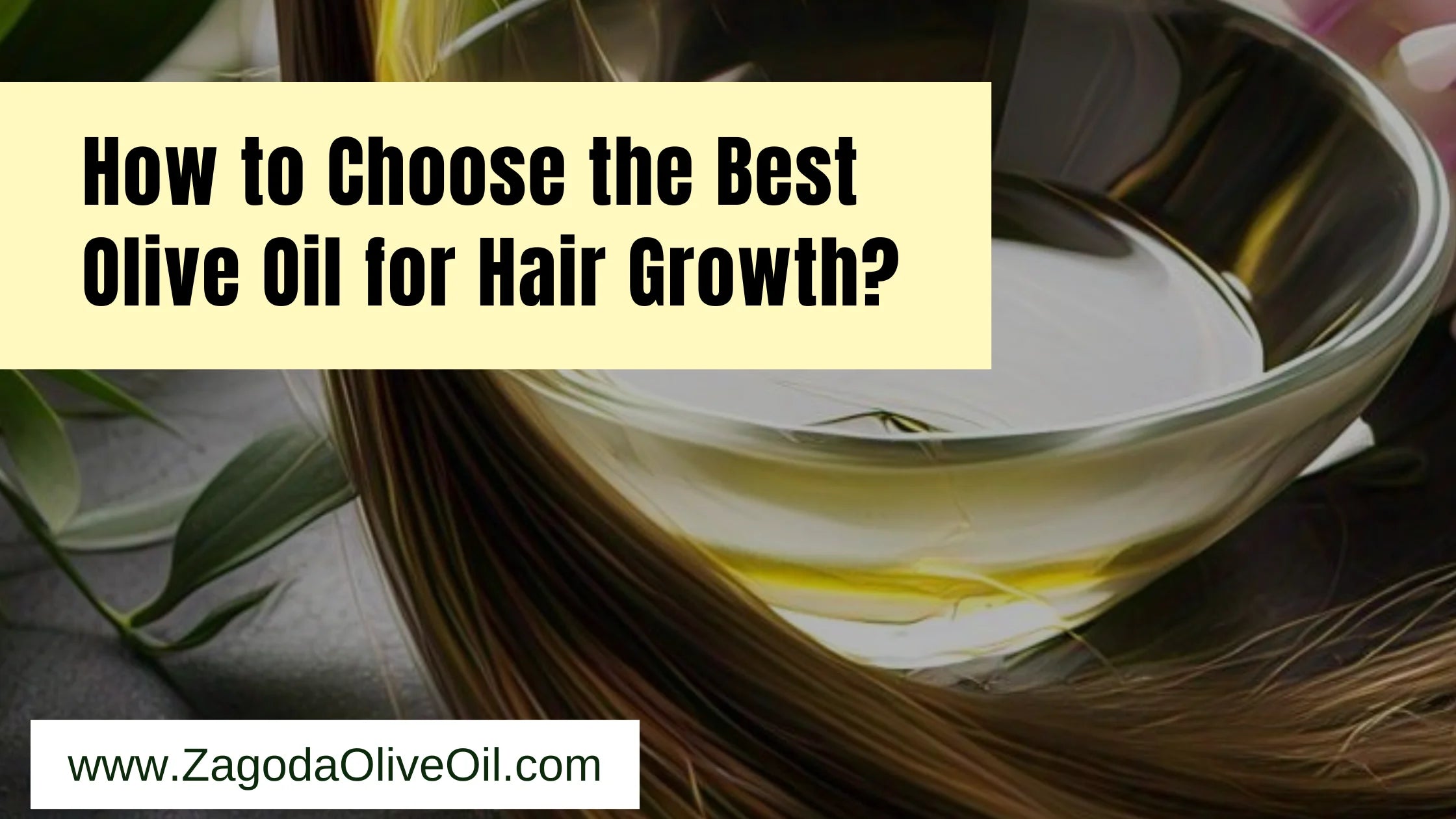Which is the best olive oil for hair growth?