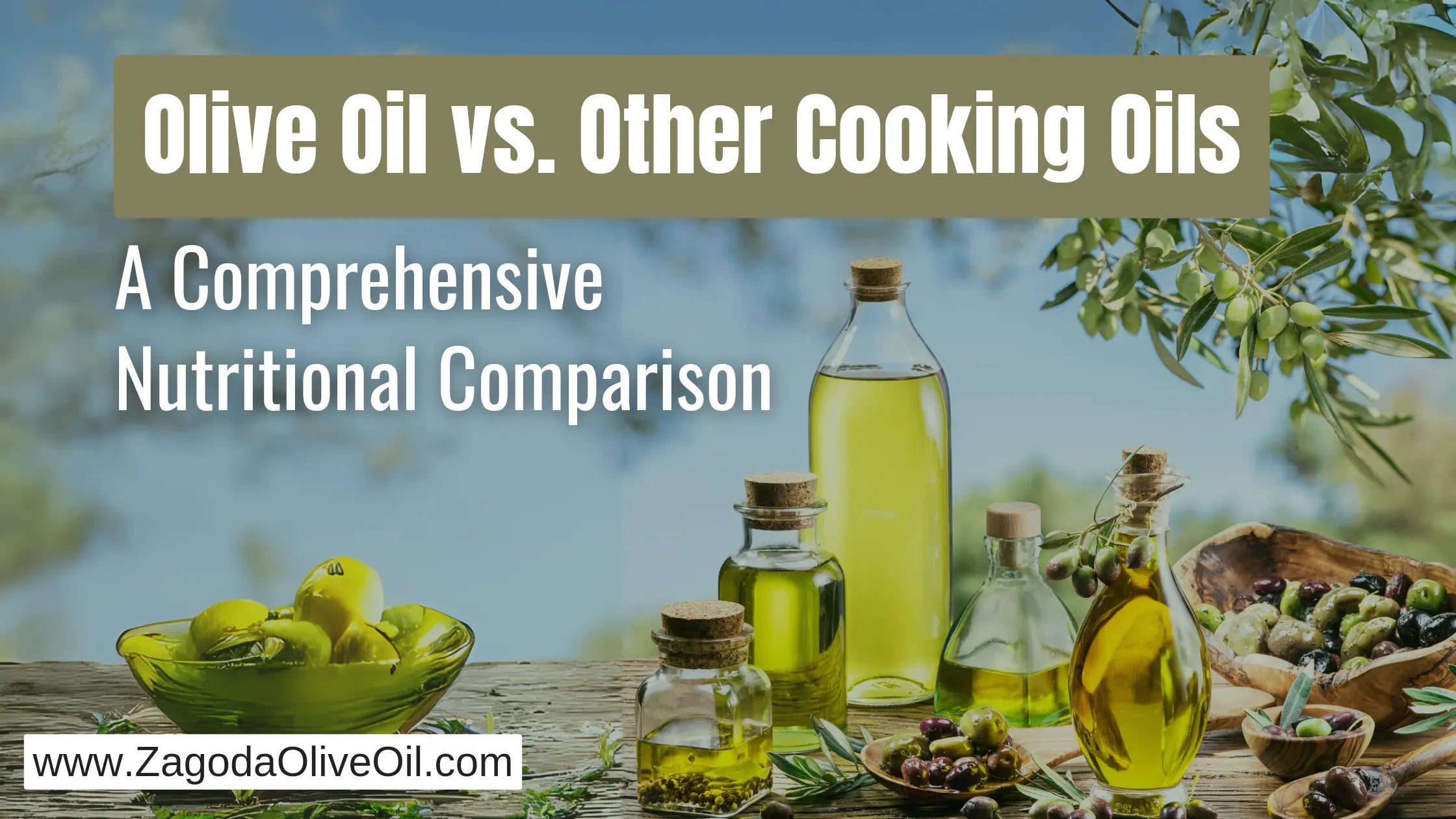 Comparing Olive Oil vs. Other Cooking Oils: Which Is Best for Your ...