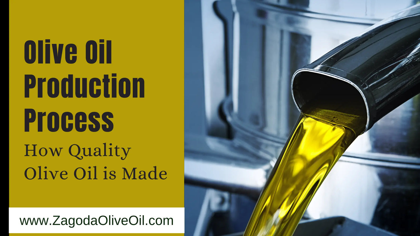 olive oil production process​,zagodaoliveoil