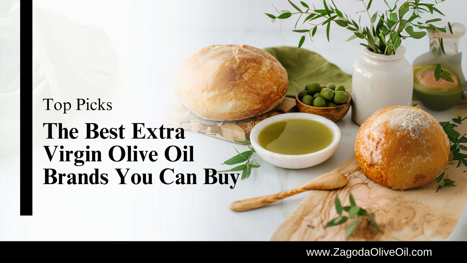 Top Olive Oil Brands for Healthy Cooking