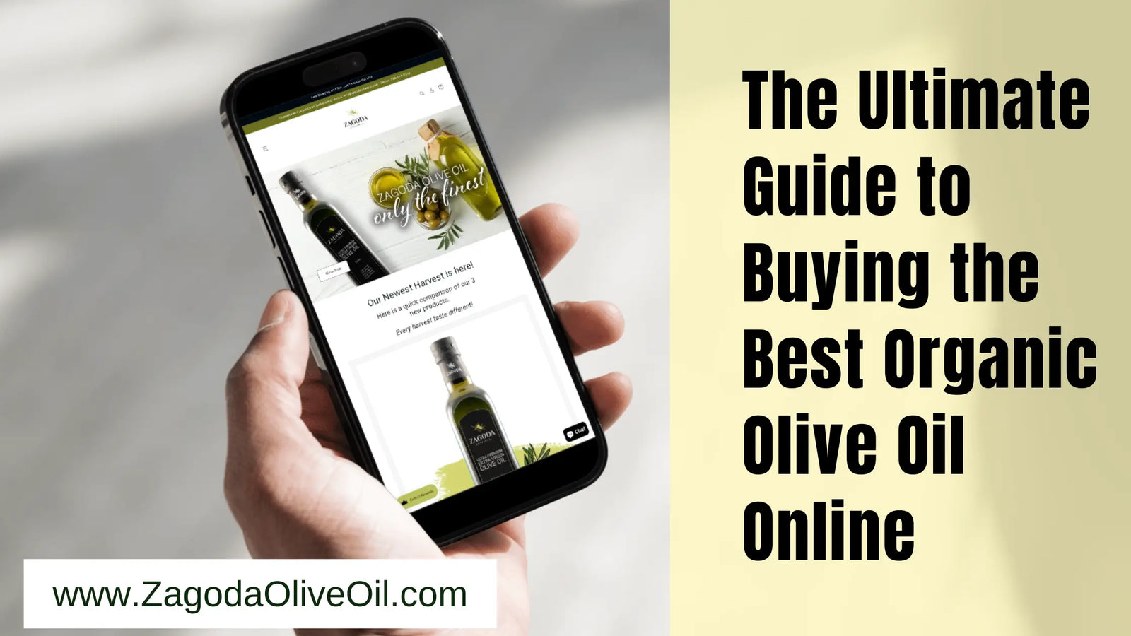 Guide to Buying the Best Organic Olive Oil 