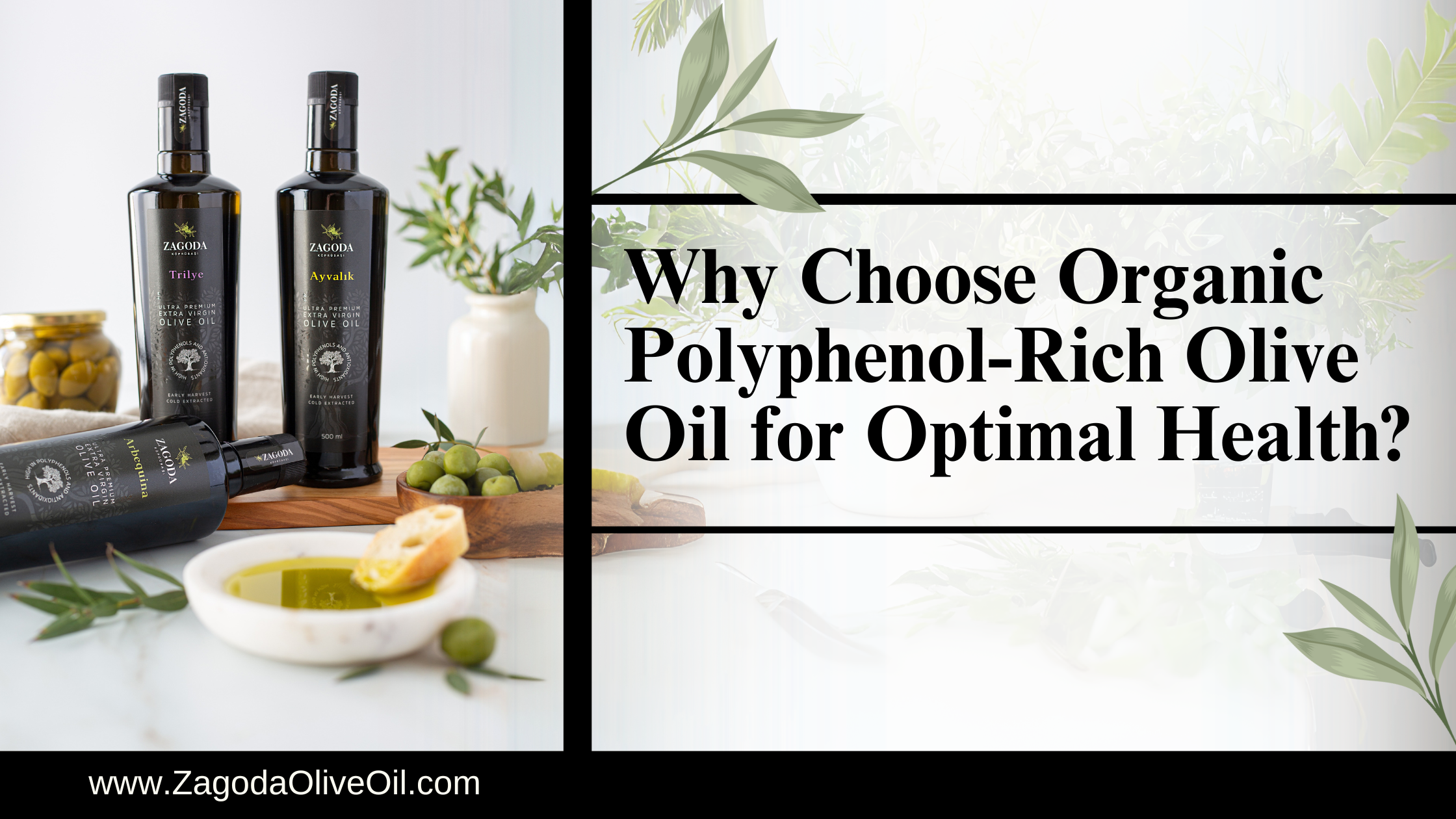 Organic polyphenol-rich olive oil in a bottle with olives.