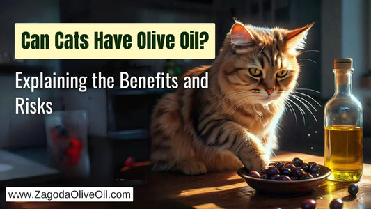 Happy cat beside a bottle of olive oil, symbolizing safe and responsible use of olive oil diets.