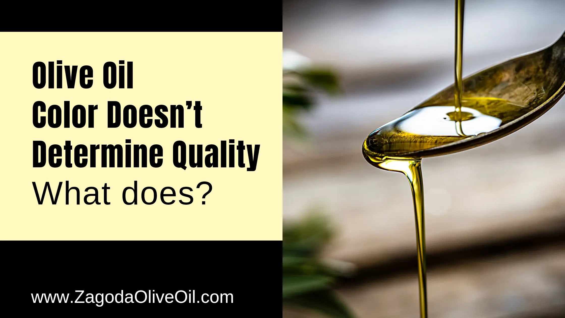 olive oil colour doesn't determine it's quality, zagodaoliveoil.com