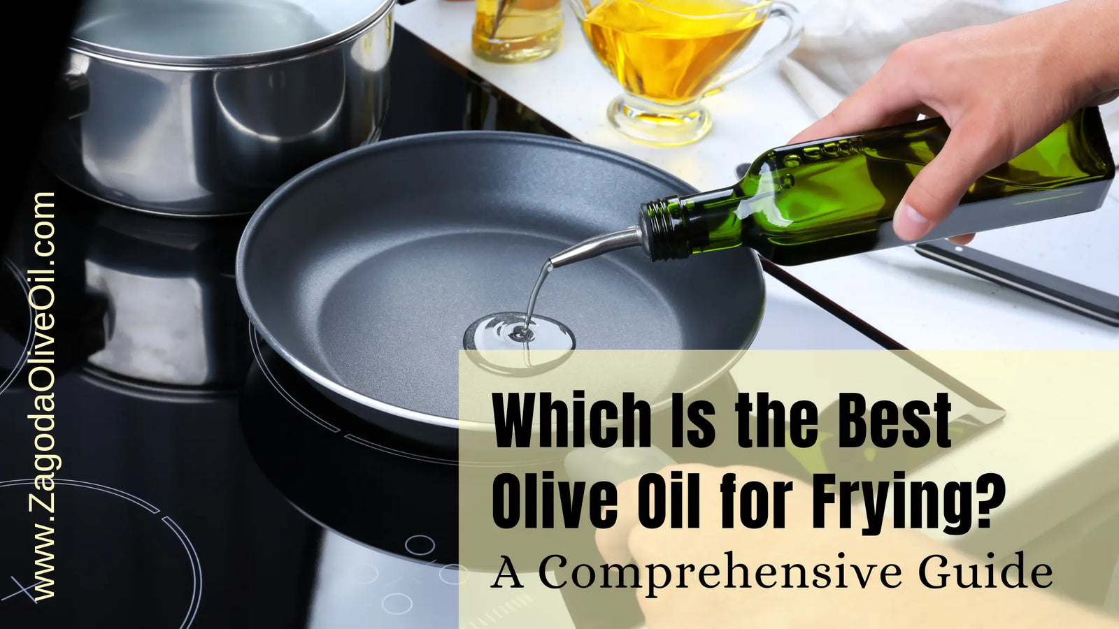 Find the best olive oil for frying.