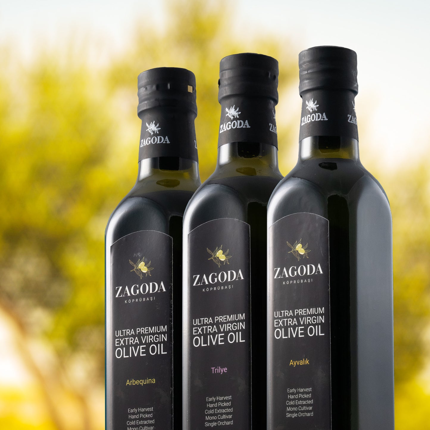 Arbequina Virgin Olive Oil